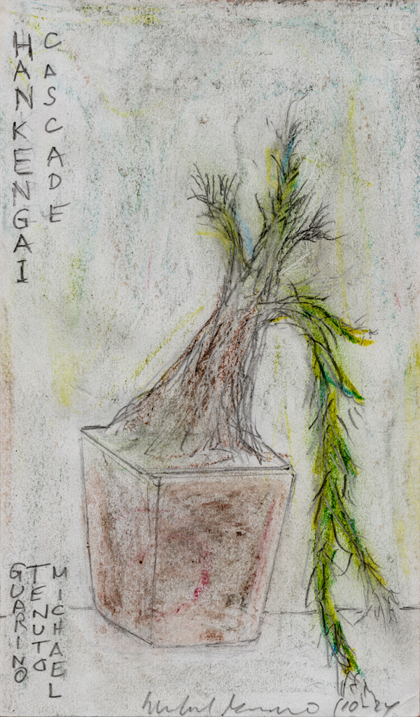 bonsai tree drawing