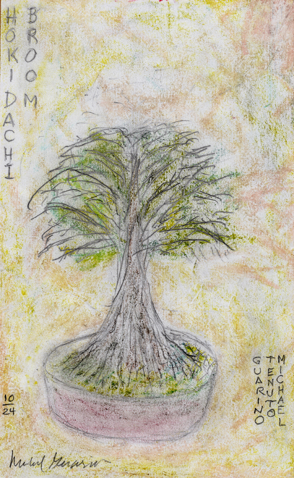 bonsai tree drawing